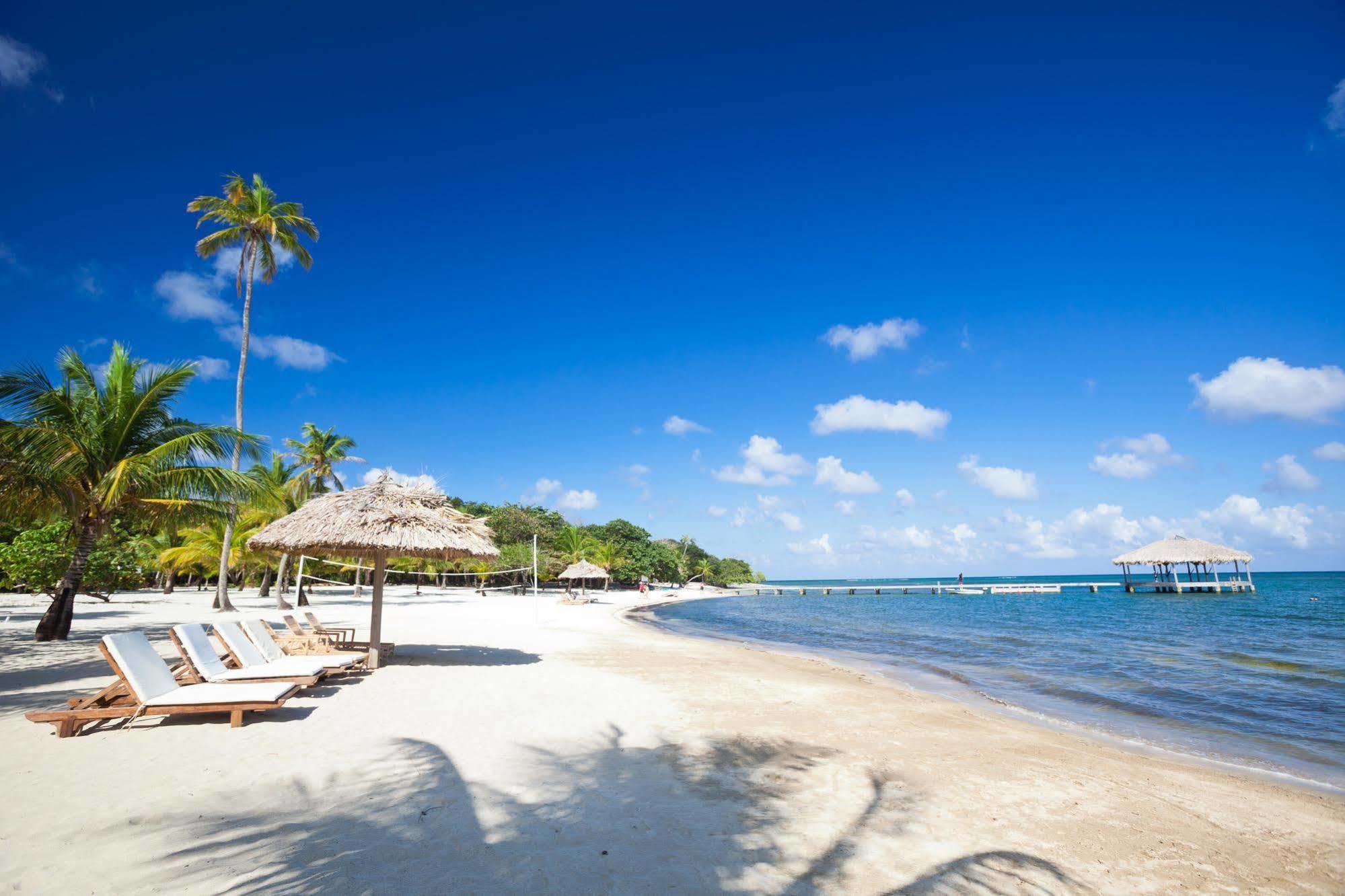 Casa Flores Palmetto Bay Eksteriør bilde