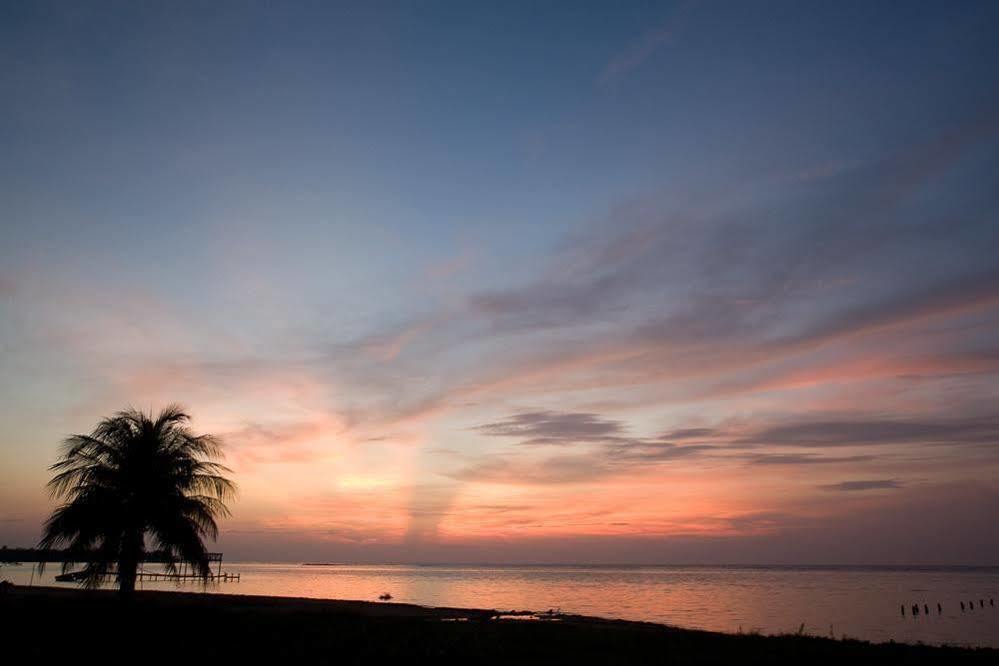 Casa Flores Hotell Palmetto Bay Eksteriør bilde