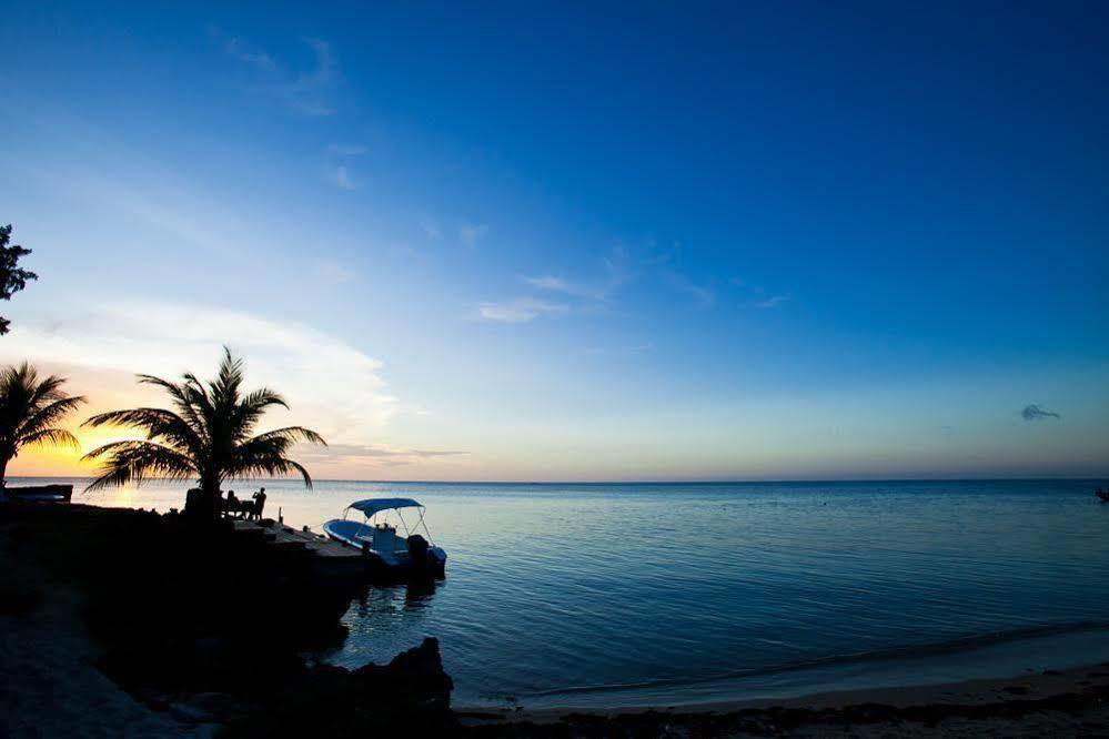 Casa Flores Hotell Palmetto Bay Eksteriør bilde