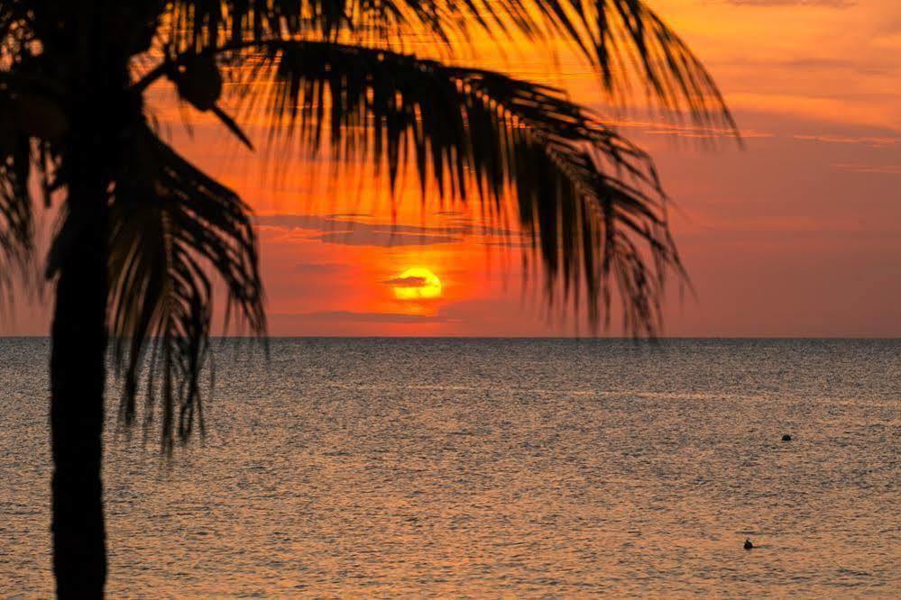 Casa Flores Hotell Palmetto Bay Eksteriør bilde