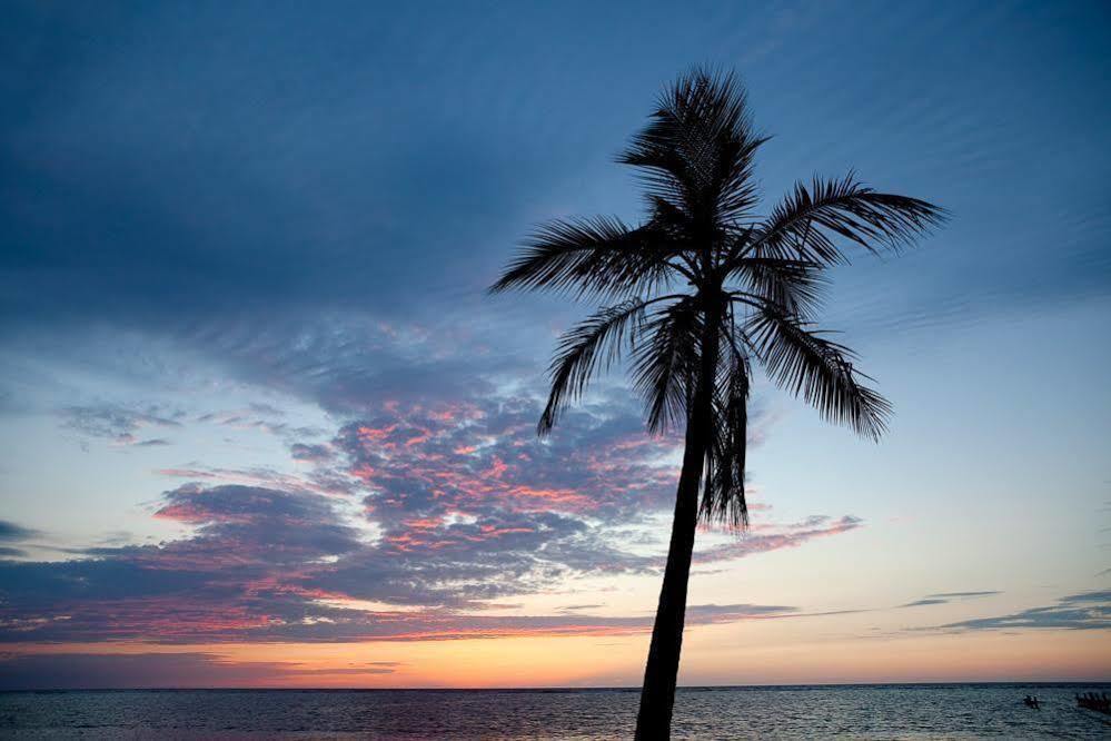 Casa Flores Hotell Palmetto Bay Eksteriør bilde