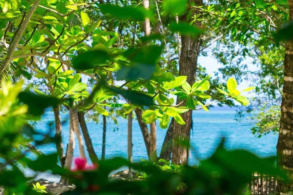 Casa Flores Palmetto Bay Eksteriør bilde